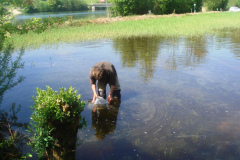 Stephan-Maeder-verteilt-die-Brut-im-Teich-1